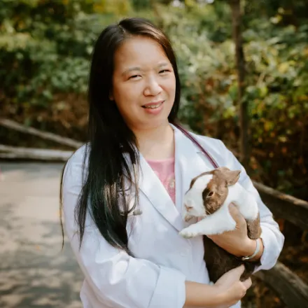 Dr. Irene Choi  at North Creek Pet Hospital